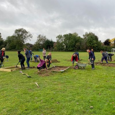 Bee and Butterfly Gardens