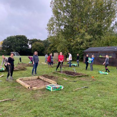 Bee and Butterfly Gardens