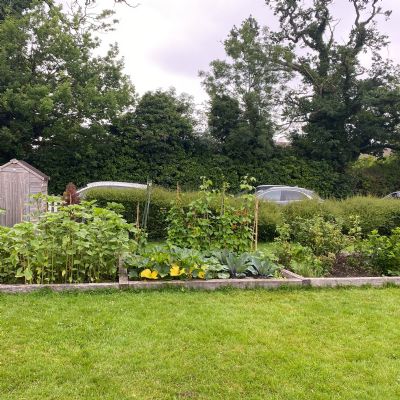 8E0C4773-AFA6-49E9-8AE9-444ADB029103