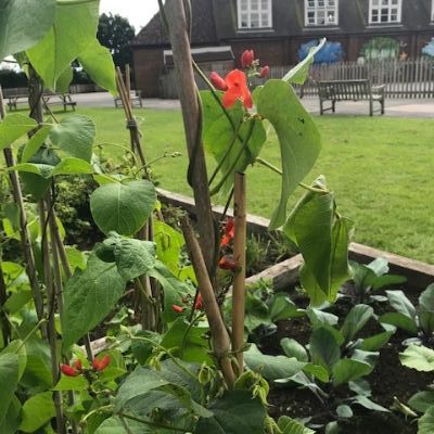 D55771B2-1CD5-4B88-87DD-E9CBED4E15C8