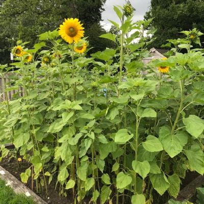 e9269033-9321-4f1d-824f-39e8b1f99451