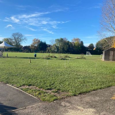 Planting Trees, Bulbs & Scattering Seeds November 2021